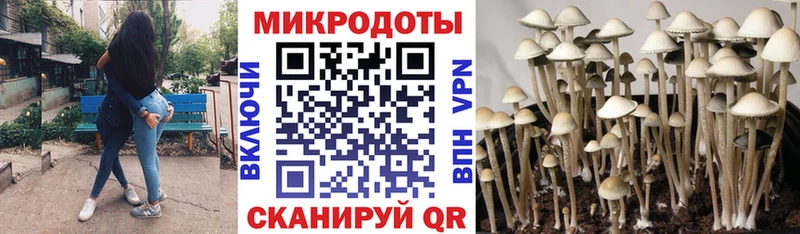 Галлюциногенные грибы ЛСД  Купить где  Сельцо 